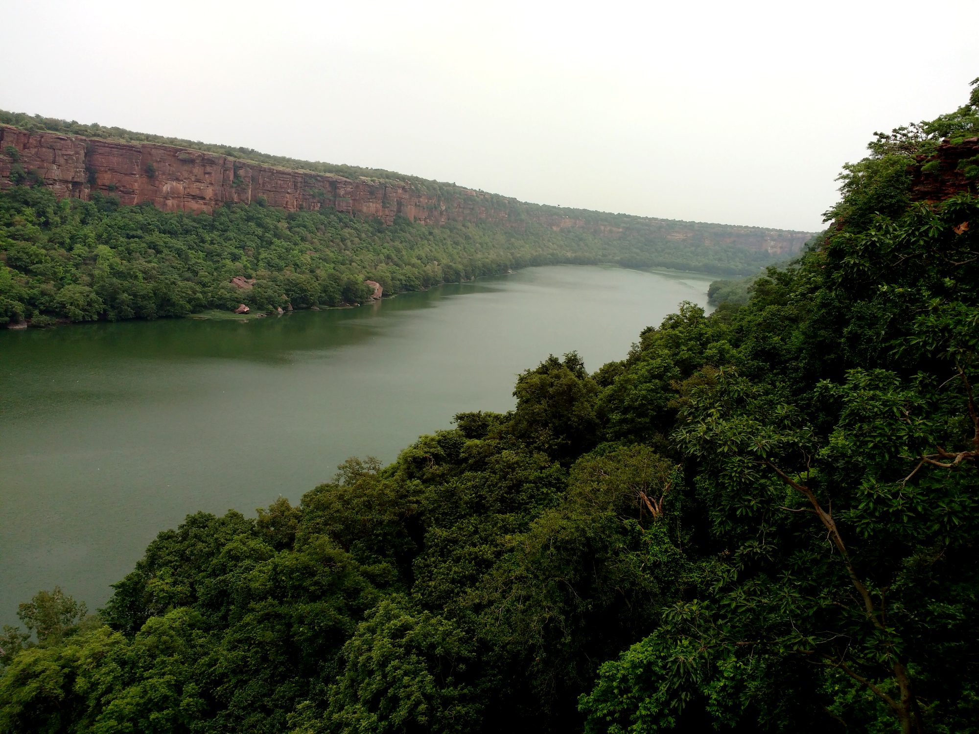 Landscape of Mukundara Hills, Rajasthan — the Chambal river bending through the forested sandstone gorge